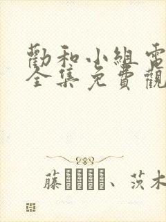 劝和小组电视剧全集免费观看