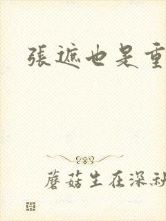 张遮也是重生吗