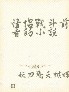 情侣战斗前适合看的小说