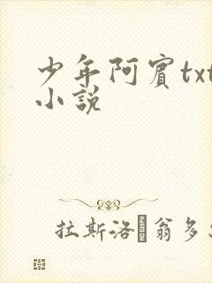 少年阿宾txt小说