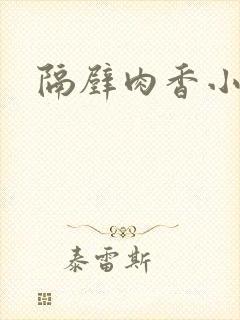 隔壁肉香小说