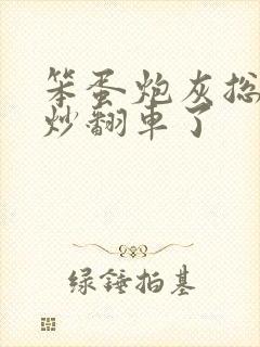 笨蛋炮灰总被爆炒翻车了