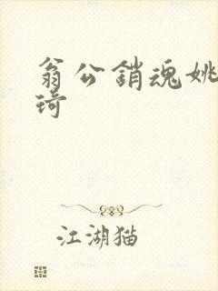 翁公销魂姚瑶琦琦