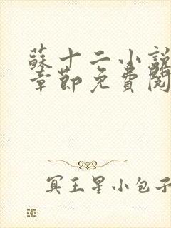 苏十二小说最新章节免费阅读全文