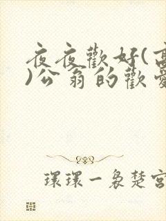 夜夜欢好(高h)公翁的欢爱