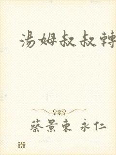 汤姆叔叔转接口