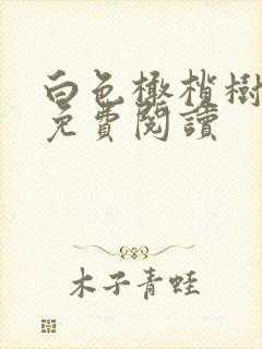 白色橄榄树全文免费阅读