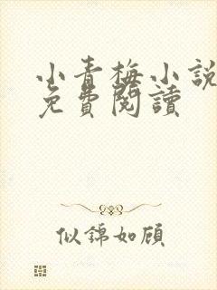 小青梅小说全文免费阅读