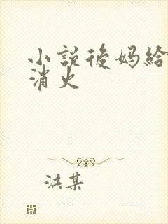 小说后妈给我消消火