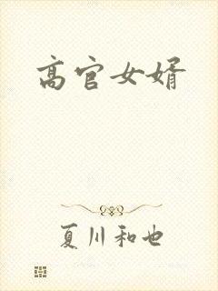 高官女婿