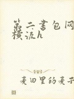 第二书包网蜜汁横流h