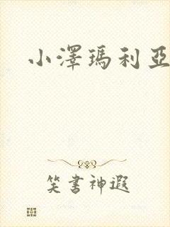 小泽玛利亚作品