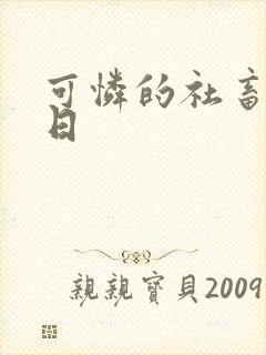 可怜的社畜东度日