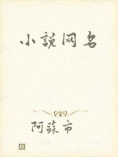 小说网名
