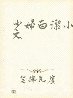 少妇白洁小说全文