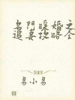 名门暖婚之权爷追妻攻略全文免费阅读