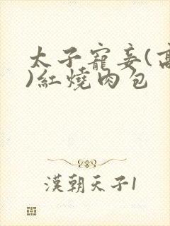 太子宠妾(高肉)红烧肉包