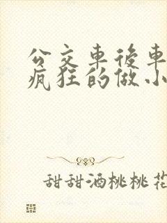 公交车后车座的疯狂的做小