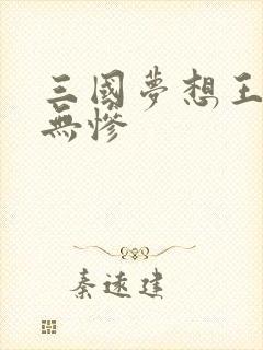三国梦想王元姬无惨