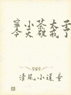 宁小茶太子殿下今天破戒了吗免费阅读