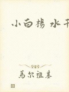 小白杨 水千丞