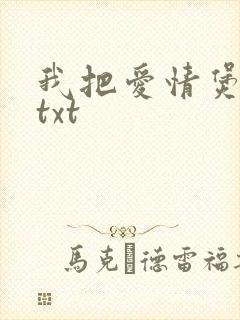 我把爱情煲成汤txt