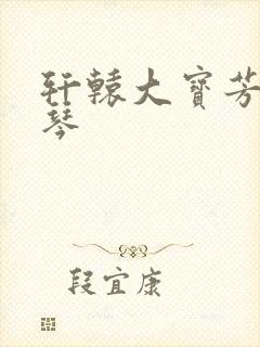 轩辕大宝芳菲雅琴