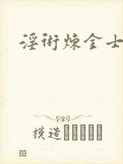 淫术炼金士小说