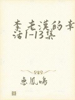 李老汉的幸福生活1-13集