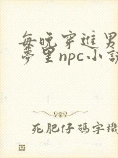 每晚穿进男神的梦里npc小说