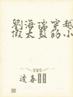 刘海瑞穿越后宫假太监的小说