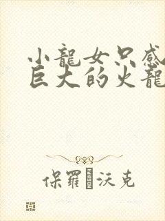 小龙女只感觉那巨大的火龙枪