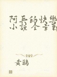 阿兵的快乐生活小说 全章节阅读免费