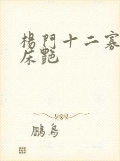 杨门十二寡妇肉床艳