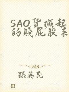 SAO货撅起你的贱屁股来