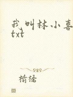 我叫林小喜小说txt