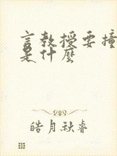 言教授要撞坏了是什么