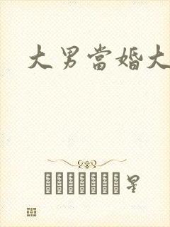 大男当婚大结局