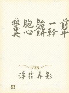 双胞胎一前一后夹心饼干年下