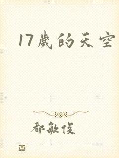 17岁的天空