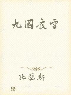 九国夜雪