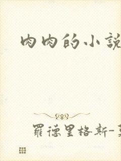 肉肉的小说