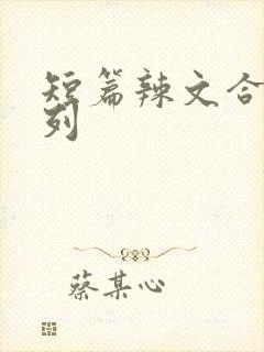 短篇辣文合集系列