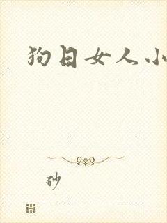 狗日女人小说
