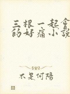 三根一起会坏掉的好痛小说