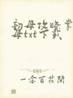 韵母攻略掌中美母txt下载