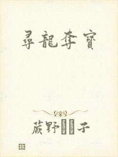 寻龙夺宝