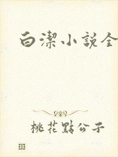 白洁小说全文