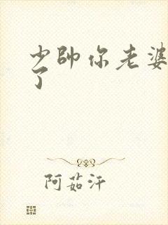 少帅你老婆又跑了