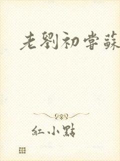 老刘初尝苏荷媳